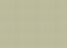 Обои для столовой Rasch Novella 983562