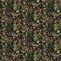Eden Seasons 1