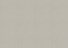 однотонные обои Rasch Allegretto 479409