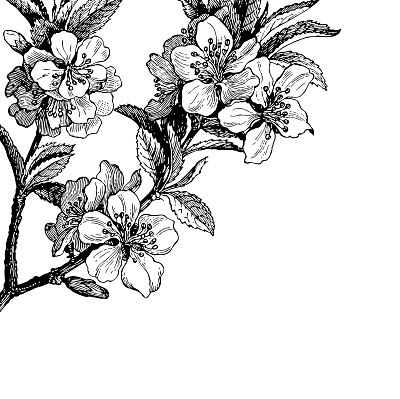 Фотообои Floreale 52, ЦВЕТОЧНЫЙ / FLOREALE, Wall street